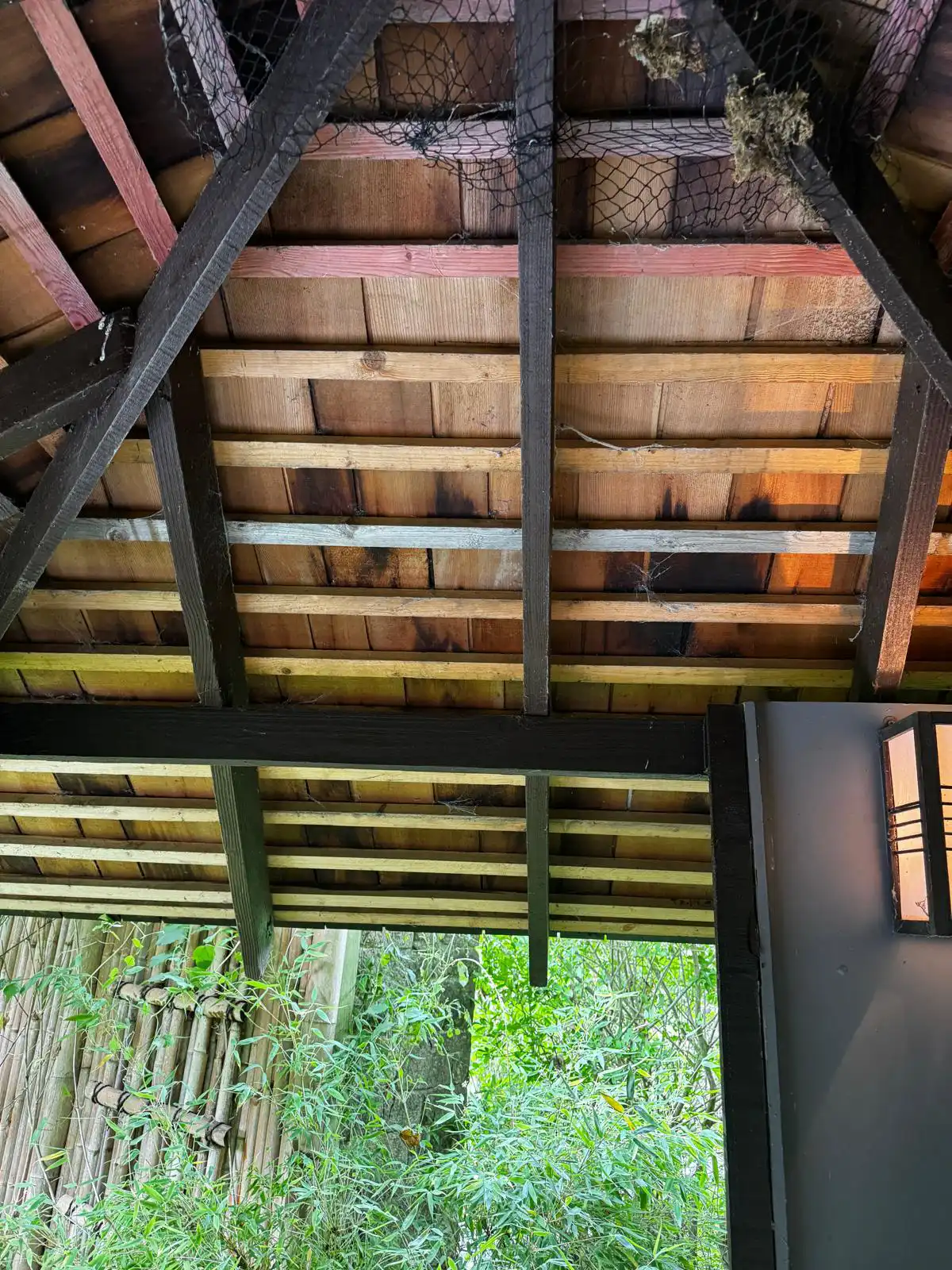House extension project
